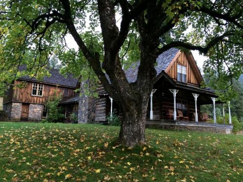 Charming Log Cabin Rental with Outdoor Grill near Gifford Pinchot National Forest in Trout Lake