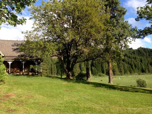 Charming Log Cabin Rental with Outdoor Grill near Gifford Pinchot National Forest in Trout Lake