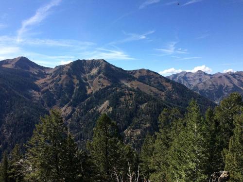 Traditional Log Cabin Rental near the Grand Tetons in Alpine, Wyoming in 阿爾卑斯(WY)