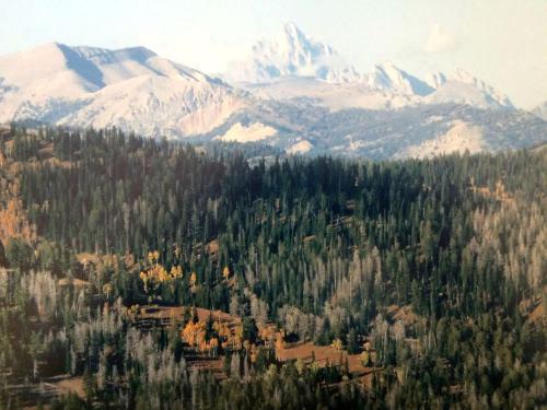 Traditional Log Cabin Rental near the Grand Tetons in Alpine, Wyoming in 阿爾卑斯(WY)
