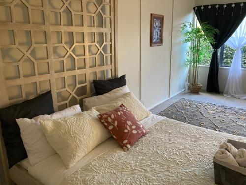Hidden Haven in Moeraki