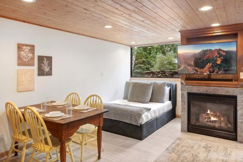 Telluride Lodge 324 studio - image 4
