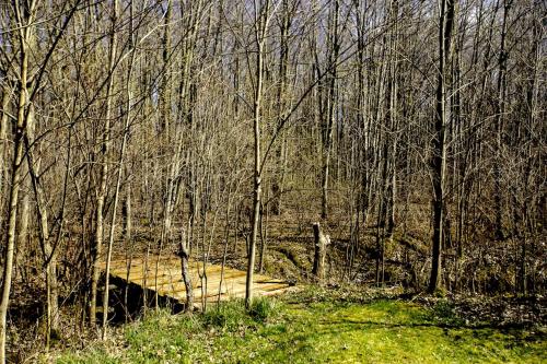 Fabulous Michigan Glamping Getaway near South Haven in Lacota