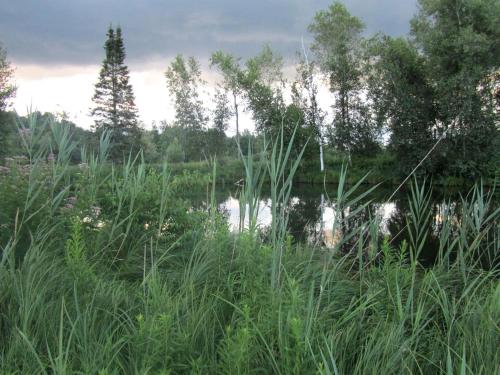 Enchanting Secluded Cabin Rental near Salem, New York in Sandgate