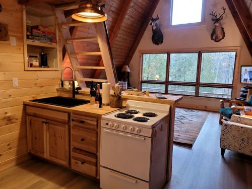 Secluded A-Frame Cabin with Private Riverfront on Little Manistee River near Tustin, Michigan in Luther (MI)