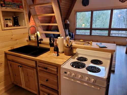 Secluded A-Frame Cabin with Private Riverfront on Little Manistee River near Tustin, Michigan in Luther (MI)