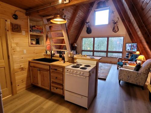 Secluded A-Frame Cabin with Private Riverfront on Little Manistee River near Tustin, Michigan in Luther (MI)