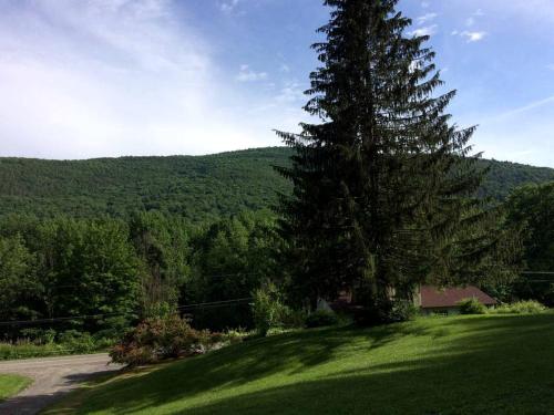 Superb Family Cabin with Mountain Views and Deck in Shandaken, New York in 尚達肯 (NY)