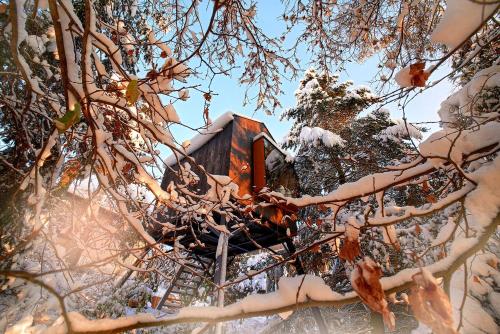Escape to the Czech Republic in this Wonderful Tree House in Nature, Praga (foto 6)