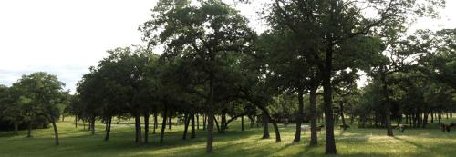 Simple and Cozy Cabin Rental on Private Ranch Retreat near Austin, Texas in Waelder