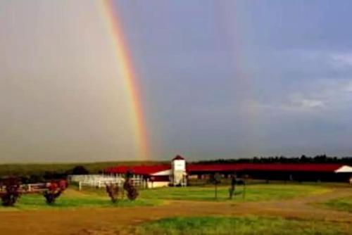 Pet-Friendly Rental with Wi-Fi near Brenham, Texas in 埃爾金