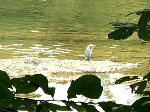 "Lovely Tiny House Rental for a Romantic Getaway in Shepherdstown, West Virginia in Shepherdstown (WV)