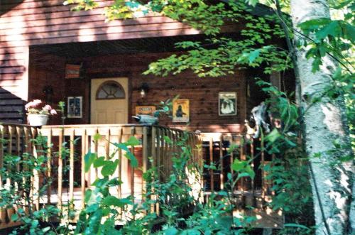. Cabin Surrounded by Sublime Nature near Lake Huron, Michigan
