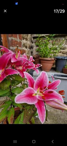 Parkhouse farm caravan in บรอมป์ตัน ออน สเวล