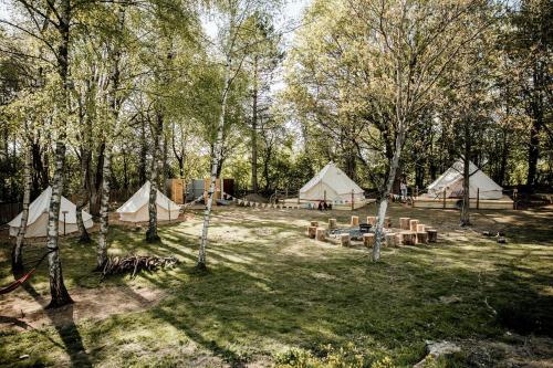 Group Glamping Bell Tents Camp Perfect to Reconnect with Nature in Germany in Auderath