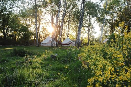 Group Glamping Bell Tents Camp Perfect to Reconnect with Nature in Germany in Auderath