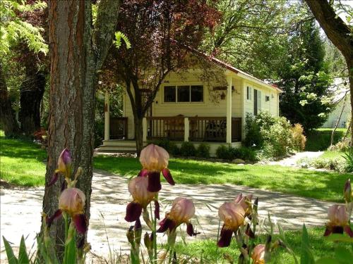 Camping Cabin Perfect for Families near the Shasta-Trinity National Forest, California in Lewiston (CA)