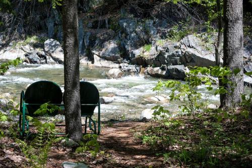 Custom Cabin Surrounded by River in Newfane, Vermont in 纽芬 (VT)