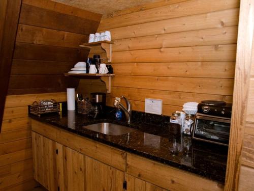 Superb Getaway Cabin near Long Hunter State Park and Nashville, Tennessee in Lavergne (TN)