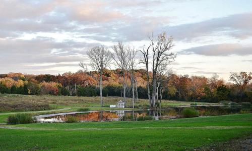 Superb Getaway Cabin near Long Hunter State Park and Nashville, Tennessee in Lavergne (TN)
