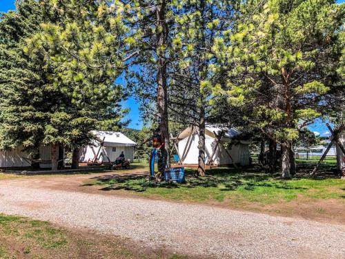 Luxury Safari Tent with Private Bathroom in Swan Valley, Idaho near Palisades Lake in 天鵝谷(ID)