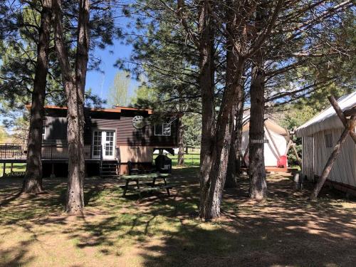 Luxury Safari Tent with Private Bathroom in Swan Valley, Idaho near Palisades Lake in 天鵝谷(ID)