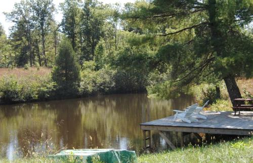 One-Bedroom, One-Bathroom Cottage Rental on a 250-Acre Cattle Farm near Appalachian Trail in Scottsville (VA)