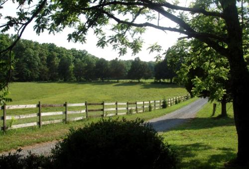 One-Bedroom, One-Bathroom Cottage Rental on a 250-Acre Cattle Farm near Appalachian Trail in Scottsville (VA)