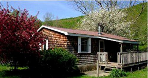 Family-Friendly Cabin Accommodation with Large Yard near Woodstock in 尚達肯 (NY)