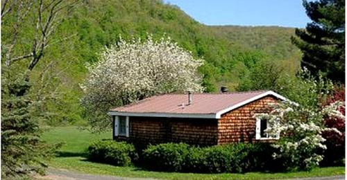 Family-Friendly Cabin Accommodation with Large Yard near Woodstock in 尚達肯 (NY)