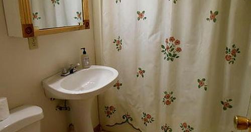 Family-Friendly Cabin Accommodation with Large Yard near Woodstock in 尚達肯 (NY)