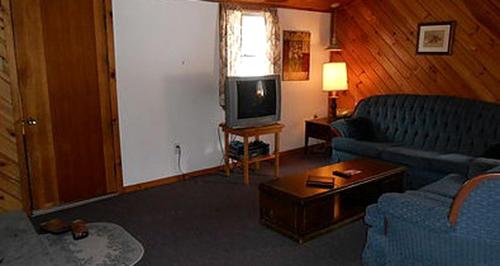 Family-Friendly Cabin Accommodation with Large Yard near Woodstock in 尚達肯 (NY)