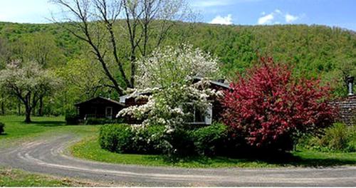 Family-Friendly Cabin Accommodation with Large Yard near Woodstock in 尚達肯 (NY)