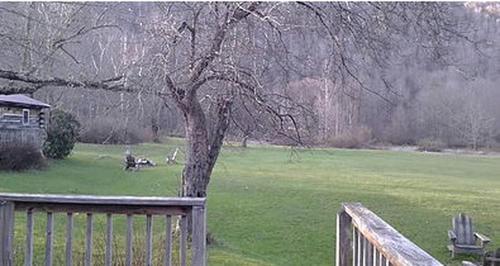 Family-Friendly Cabin Accommodation with Large Yard near Woodstock in 尚達肯 (NY)