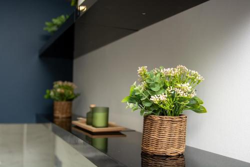 Hatfield Haven with Free Parking, 25min London and Fast Wi-Fi in Hatfield