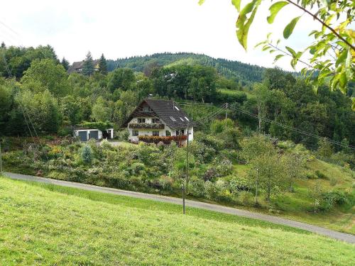 Apartment in Oppenau 