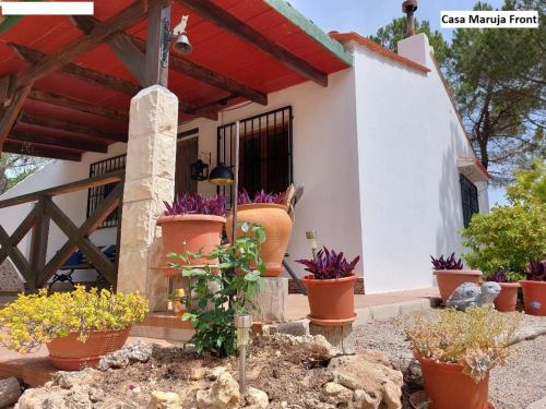 Casa Tortuga Feliz