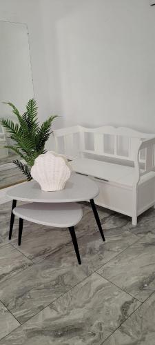 Casa Iris, Jassy