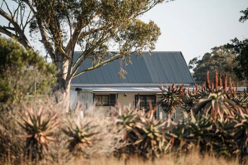 Farm Cottage - Mountain View,Fireplace,Outdoor Braai – khách sạn tại Riversdale