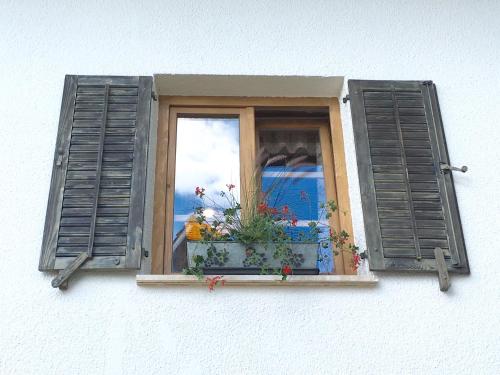 Old Bled House - image 3