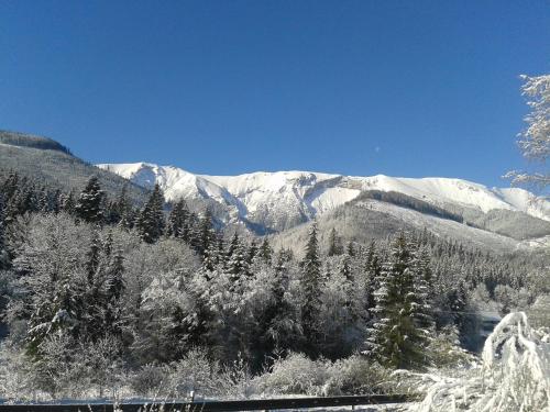 Vedere, Penzion U Aleny in zdiar