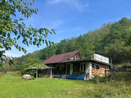 The cottage in Gurasada