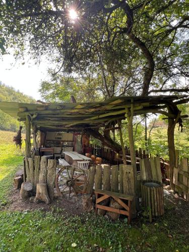 The cottage in Gurasada