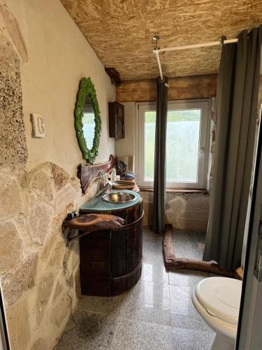The cottage in Gurasada