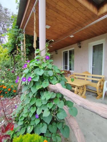 Green Park Guest House in Dilijan
