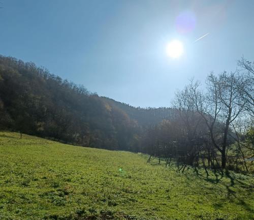 Balkons/terase, The cottage in Gurasada