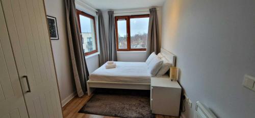 Newly Renovated D4 2BD The Aviva & Docklands, Dublin (fotografie 6)