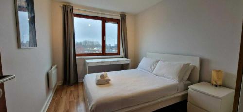Newly Renovated D4 2BD The Aviva & Docklands, Dublin (fotografie 7)