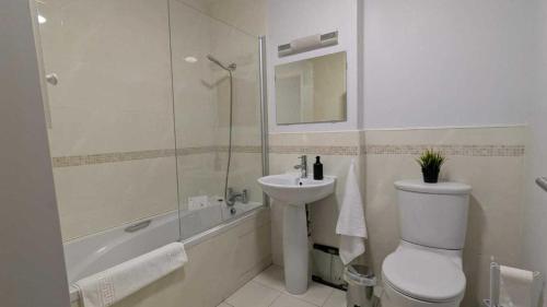 Newly Renovated D4 2BD The Aviva & Docklands, Dublin (fotografie 9)
