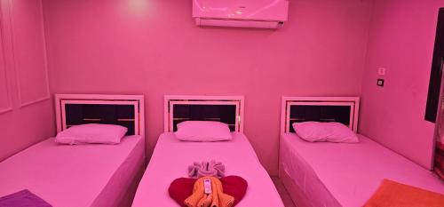 Basmatic Nubian Guest House 3